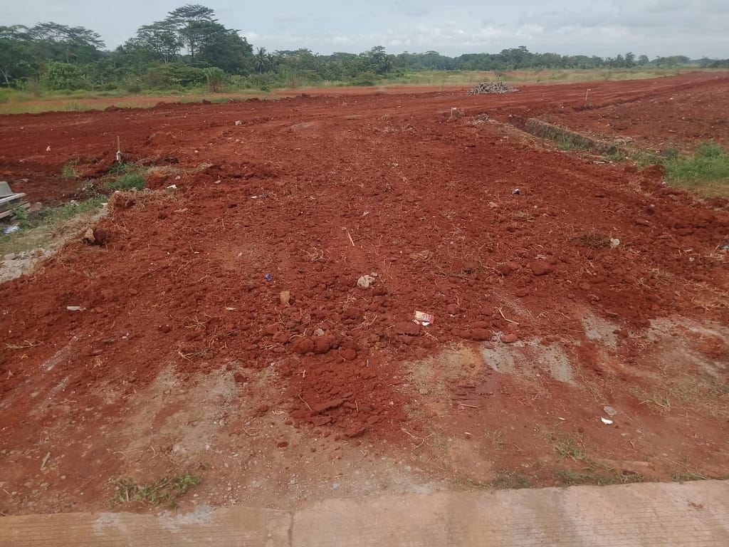 WhatsApp Image 2023-04-27 at 20.43.03