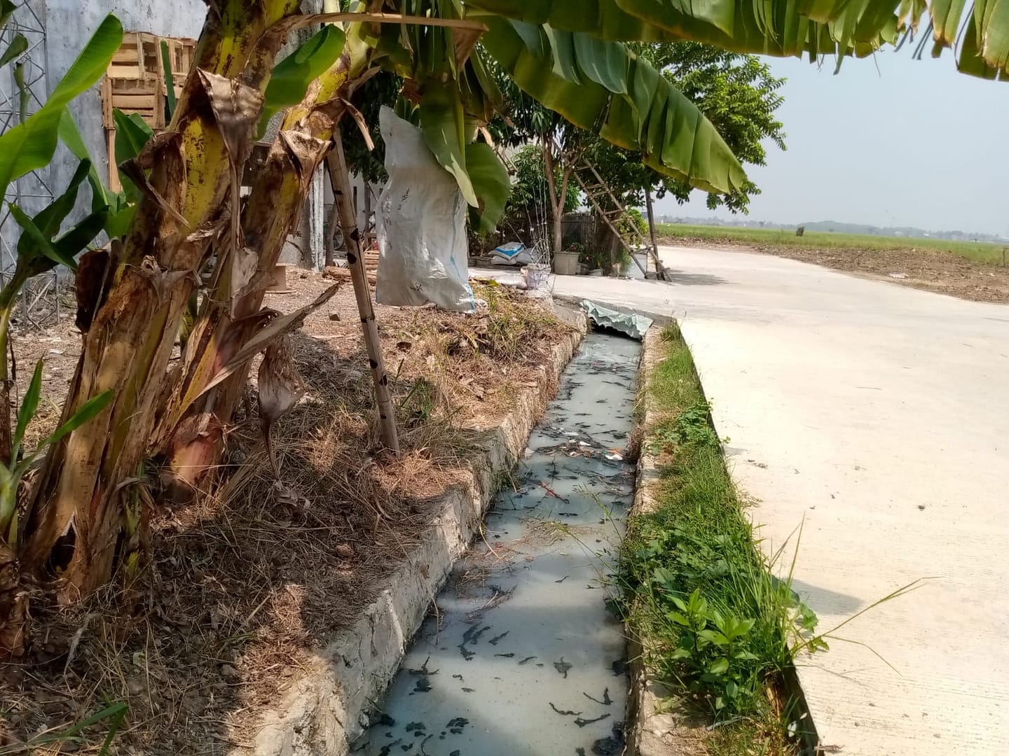 WhatsApp Image 2023-09-20 at 11.38.25