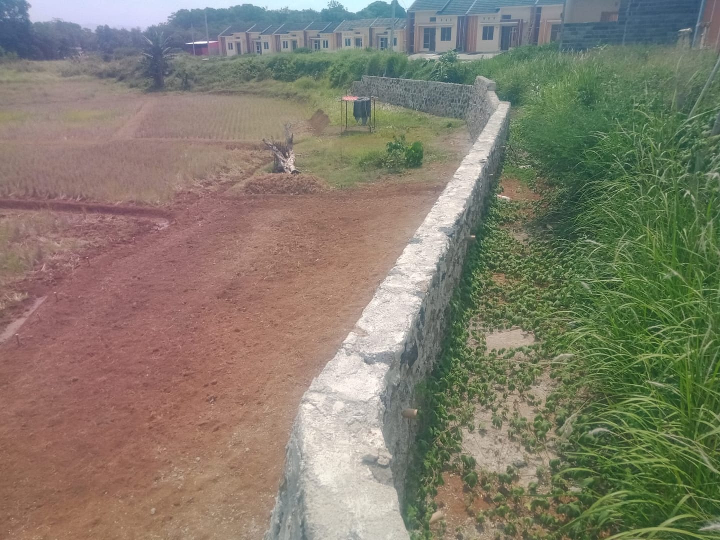 Gambar WhatsApp 2024-10-30 pukul 14.26.09_3a95c792