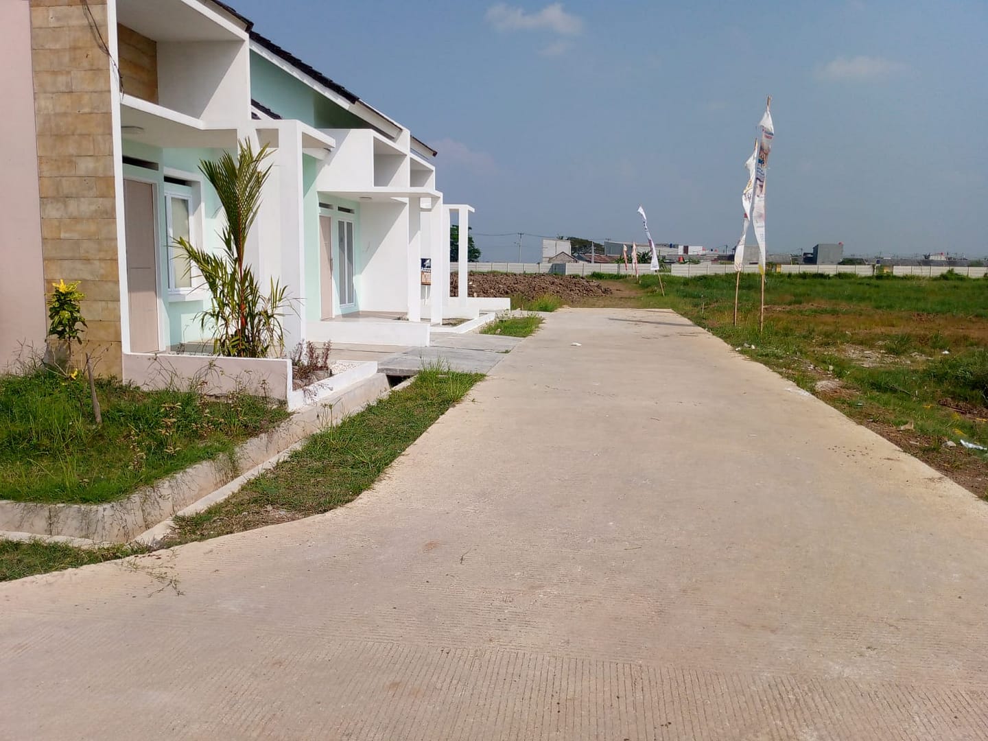 WhatsApp Image 2023-07-05 at 21.12.51